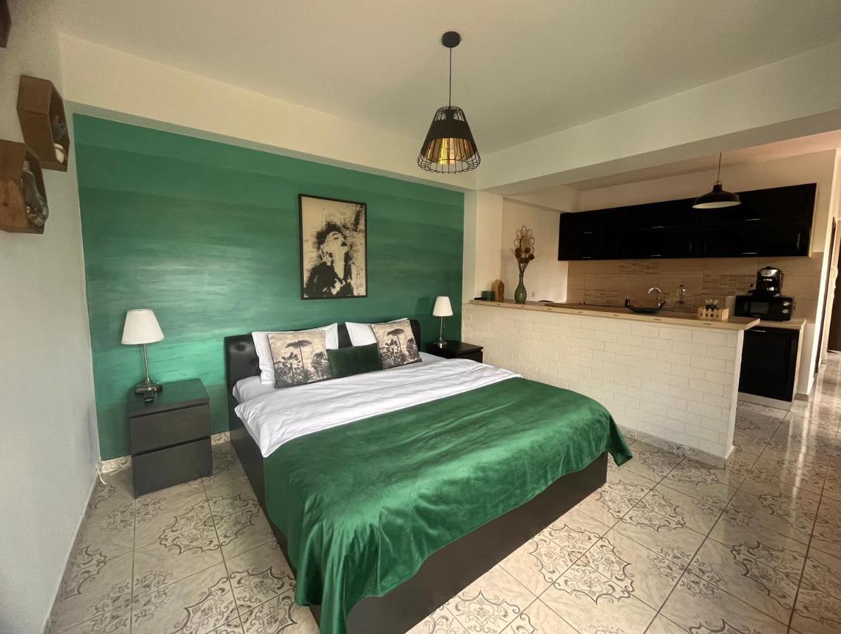 Natura City Center Studio Braşov Extérieur photo