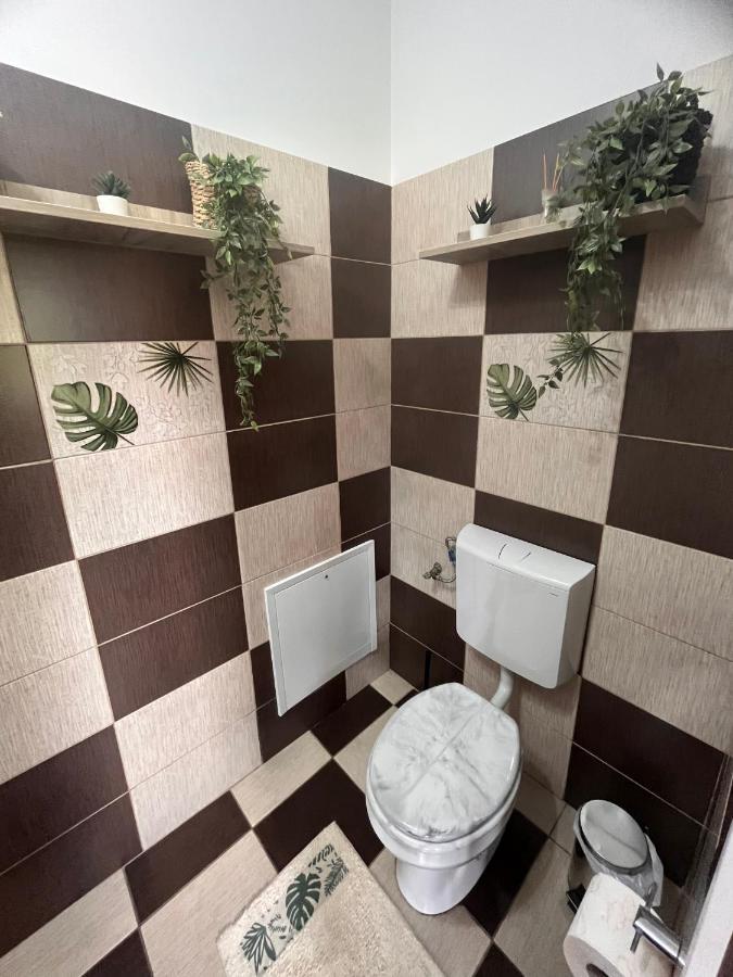 Natura City Center Studio Braşov Extérieur photo